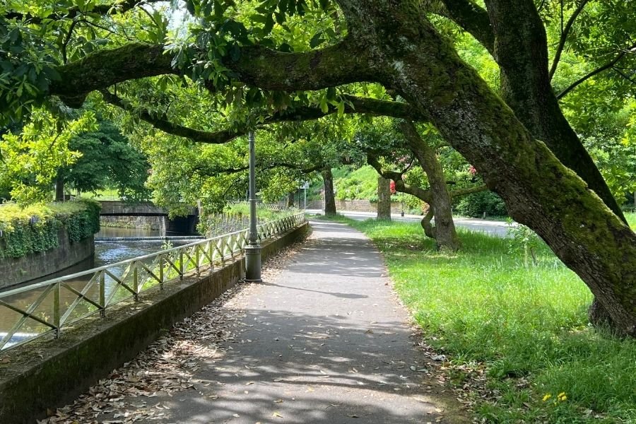 Où sortir pendant la canicule, se promenerau bord de l'eau et ombragé, le matin de bonne heure par exemple